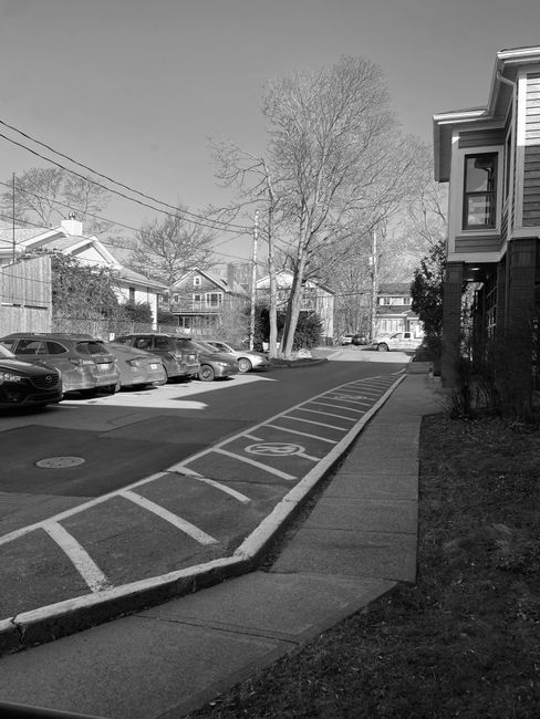 A black-and-white image of a residential street showing a row of parked cars along the curb, with a marking indicating a designated parking bay numbered '12'. The street is lined with multi-story houses and a large leafless tree in the background. On the right side, a sidewalk runs parallel to the road, adjacent to a building with visible windows and a door. Overhead, electrical wires stretch across the scene. The street appears calm and organized, suitable for parking or house relocations. The environment is well-lit, with natural daylight illuminating the scene, reflecting typical urban residential settings where furniture and household items might be transported during relocations by companies like Man with Van Cranford.
