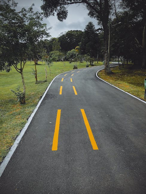 A curved residential road with double yellow lines down the center, surrounded by lush green trees and grass on both sides. The pavement appears freshly paved, with white edge markings along the curb.