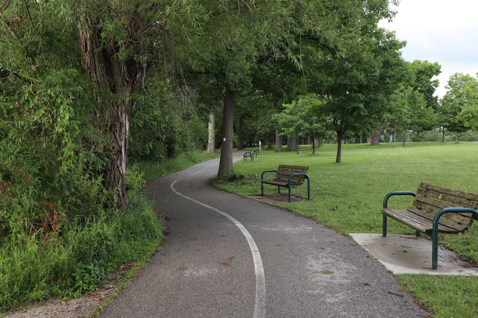 A curved residential road with double yellow lines down the center, surrounded by lush green trees and grass on both sides. The pavement appears freshly paved, with white edge markings along the curb.
